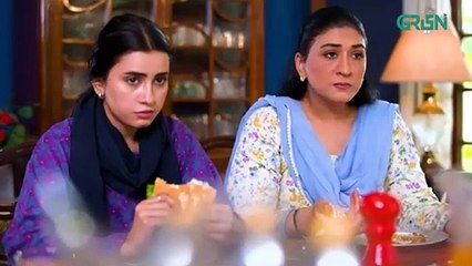 Shazadi house episode 14 green TV Entertainment