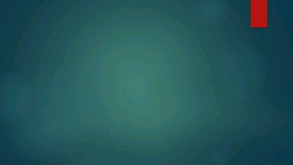 愛媛国体
