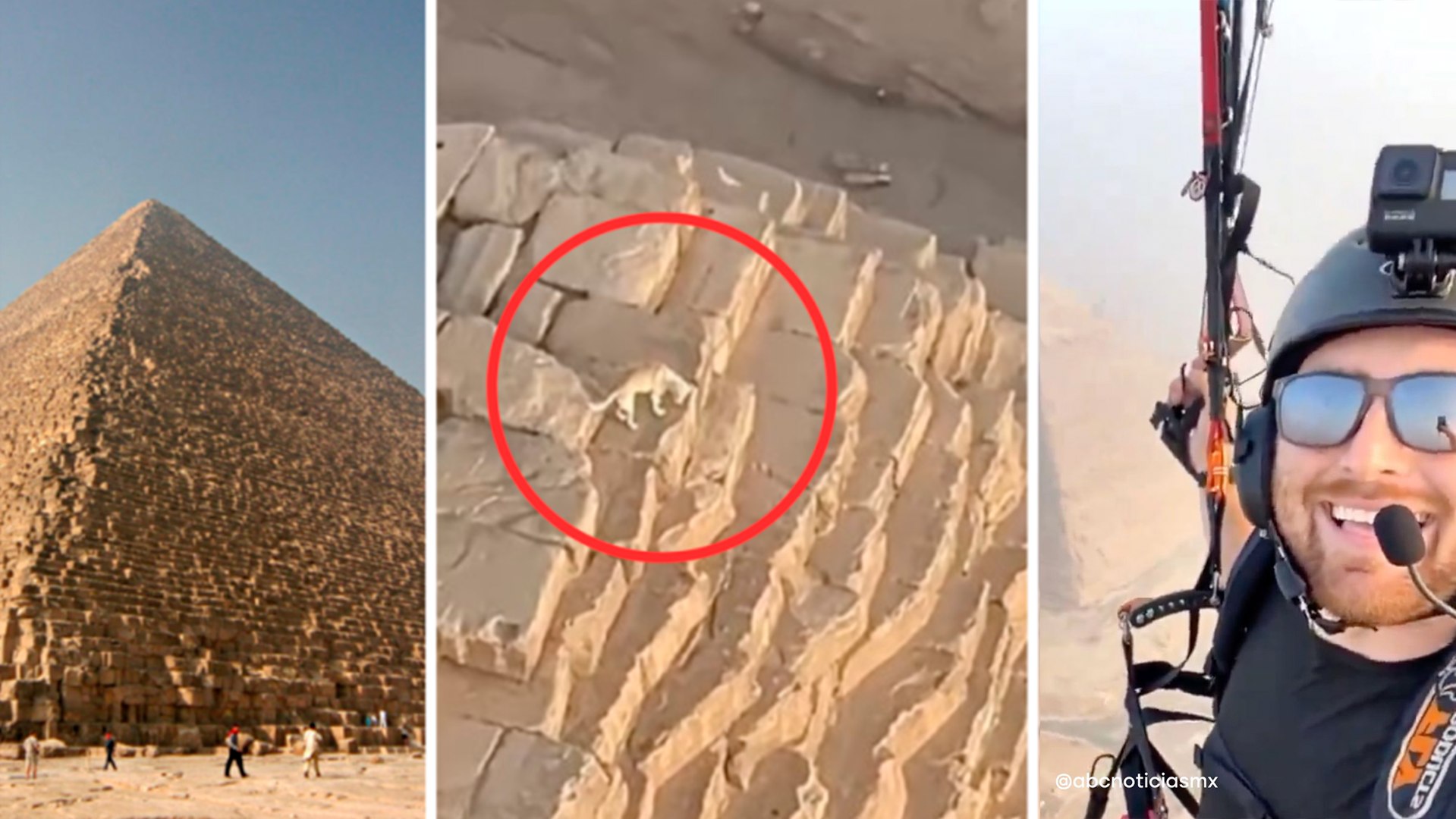 Egipto: Perrito es captado en la cima de la Pirmide de Giza