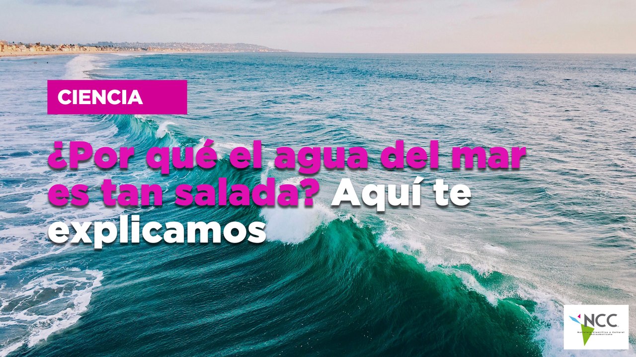 ¿Por qué el agua del mar es tan salada? Aquí te explicamos