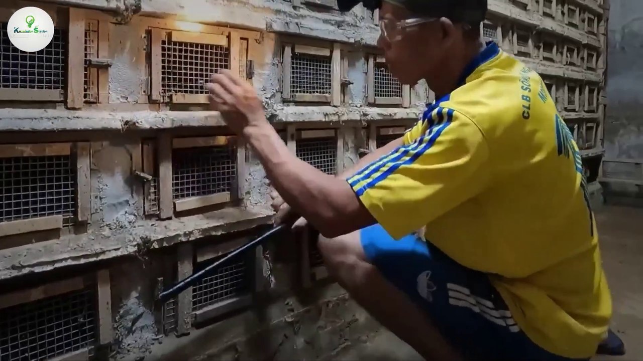 साँपों की खेती करके करोड़ों कमा रहे किसान | How A Farmer Makes 2 Million Dollars From Python Skin