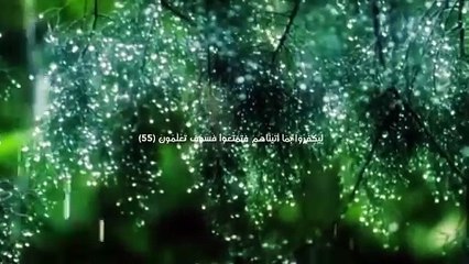 ماتيسر من سورة النحل  عبدالرحمن مسعد