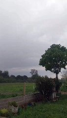 vid-20241017-wa0020.mp4