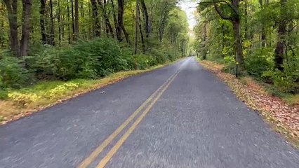 You go down some roads slow