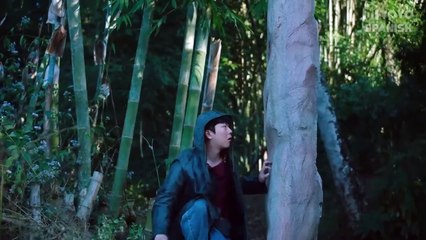 11. Rattan (Si Teng), en español