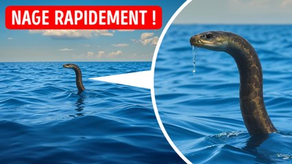 Faire une Rencontre Imprévue avec Ces Objets Pourrait Être une Grande Erreur