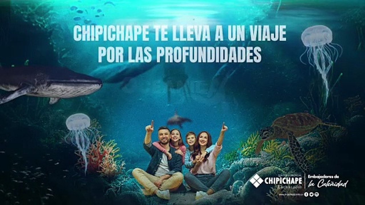 INSTREAM_CC CHIPICHAPE_OCEANICA_OCT24