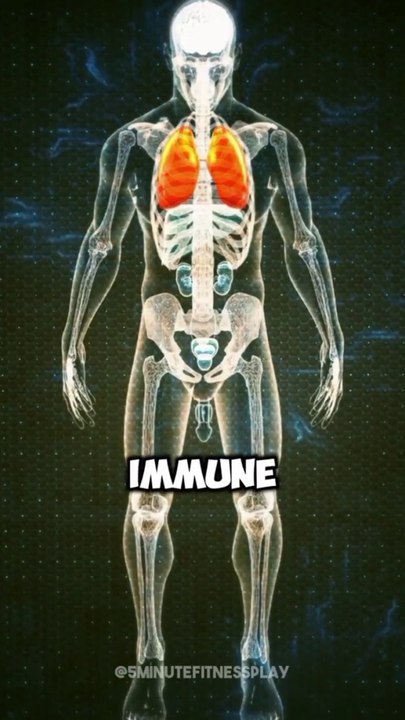 Apples are the best #health #healthtips #food #fitness #shorts #healthy #ytshorts #healthyfood