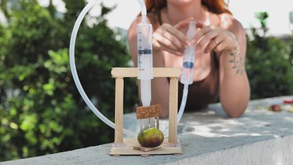 Conseils de coupe et d'épluchage pour votre cuisine !