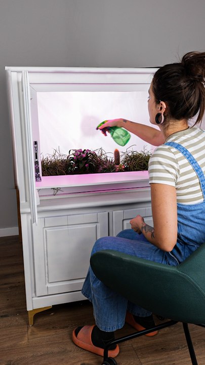 Des astuces et des bricolages utiles pour vos plantes !
