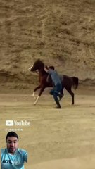 #cavalo #correr #shorts #shortvideo #viralvideo #fyp