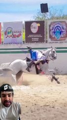 #horse #shorts #shortvideo