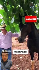 copy_46FC6B6C-9CB7-41DE-993E-F6803A04BA34