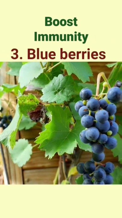 Top 5 fruits for boost immunity- immunity booster- best immunity food-#health #food #shorts