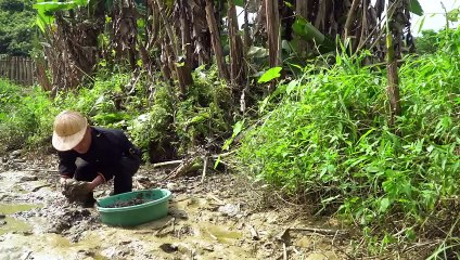Dwarf Family - eel hunting trip & taking care of goats - Harvest joy.