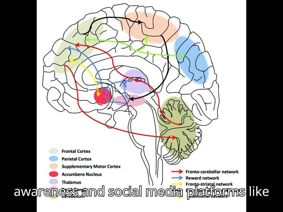 More than 15 Million US Adults Have ADHD, New Study Estimates",Over 15 MILLION US Adults Struggle with ADHD, Shocking New Study Reveals