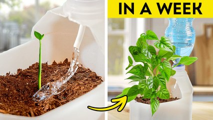 Gardening Hacks: 101 Amazing Ideas for Plant Lovers ☘️