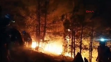 Muğla'da orman yangını (5)