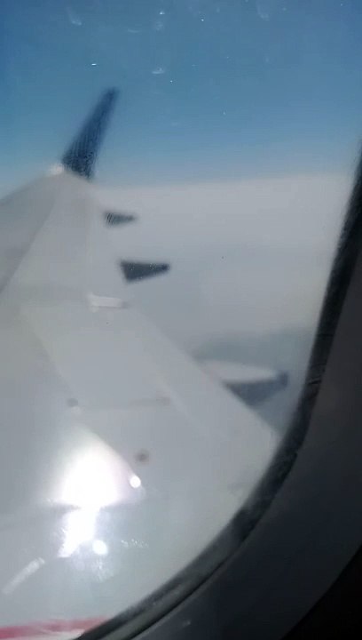 Flight ✈️