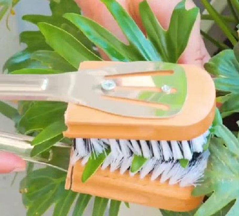 Efficient gardening tips for you to check!