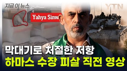 풋내기 군인들에 잡힌 거물...'하마스' 신와르 최후의 저항 [지금이뉴스]  / YTN