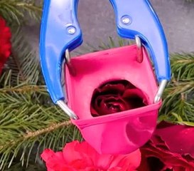 Ice making ideas to make your parties even cooler!