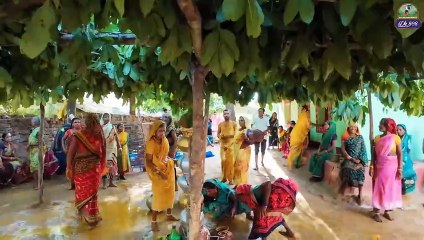 बस्तर का पारंपरिक शादी – हल्बी शादी _  Dk808