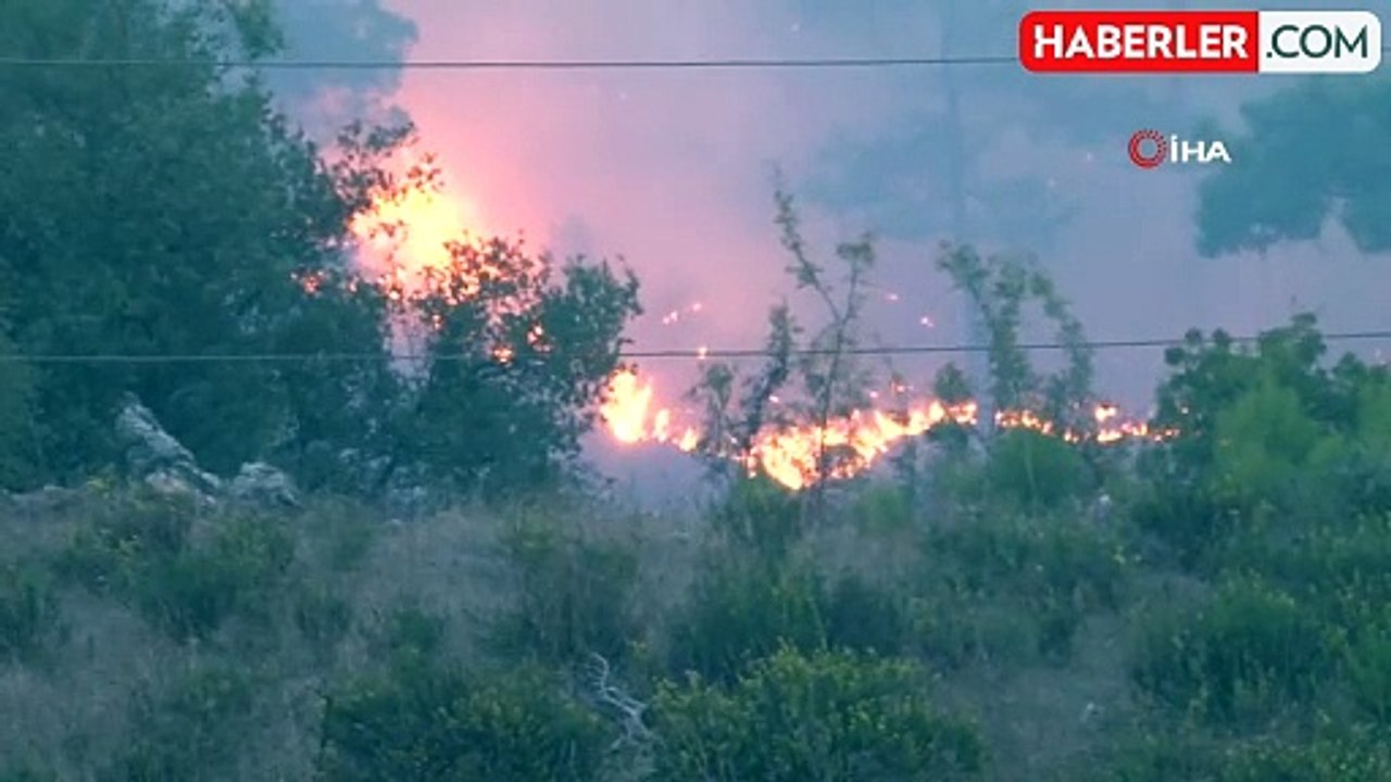 Muğla'da Orman Yangınına Ekipler Müdahale Ediyor