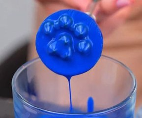 Cool hand-crafted gift she created for her pup!