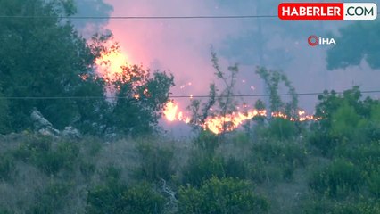 Muğla'da Orman Yangınına Ekipler Müdahale Ediyor