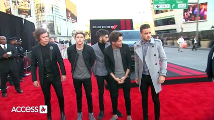 Zayn Malik & Harry Styles Remember Liam Payne In Heartfelt Tributes