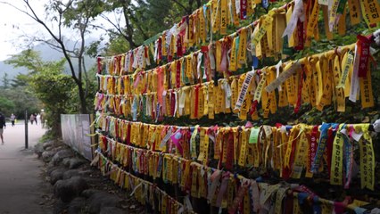 설악산 입구에 달린 리본 2천 개의 비밀 [앵커리포트] / YTN