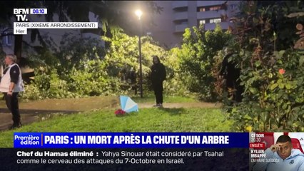 Paris: un père de famille mort écrasé par la chute d'un arbre dans le 19e arrondissement