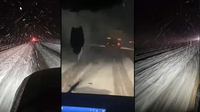 Karlıova - Erzurum karayolunda kar yağışı