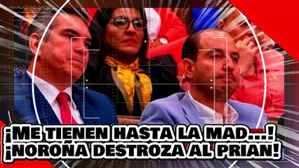 ¡VE! ¡Me tienen hasta la ma...! ¡Noroña despedaza al McPRIAN por boicotear la elección de jueces!