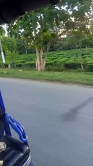 Guess this place