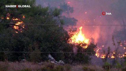 Muğla yanıyor! 3 ilçede alevler yükseliyor
