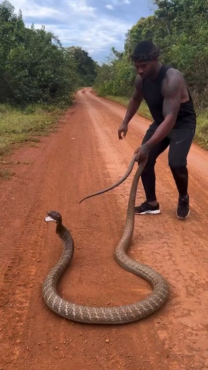 Les #hommes qui prennent de grands #risques doivent s'attendre à en #supporter souvent les lourdes #conséquences: c’est ce qui #épice la #vie !!!  #BonVendredi
