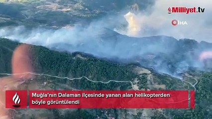 Muğla yanıyor! 3 bölgede alevlerle mücadelede 12 saat geride kaldı