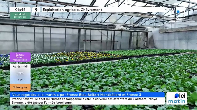 18/10/2024 - ICI Matin France Bleu Belfort Montbéliard en vidéo