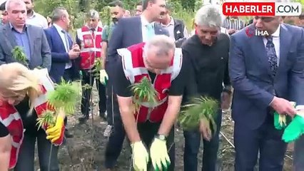 Amasya Üniversitesi Kenevir Üretimine Başladı