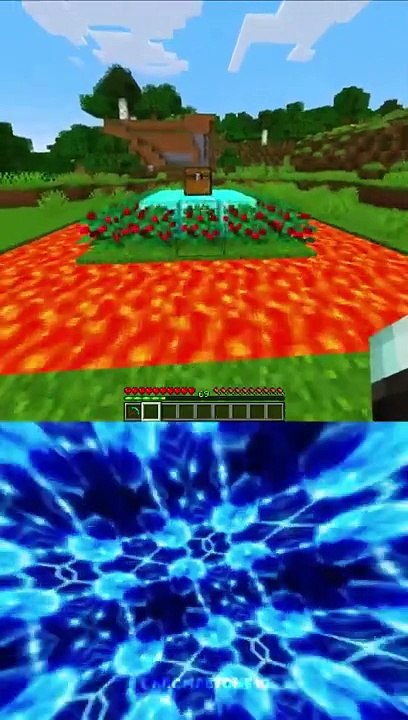 -6923 IQ vs 6969 IQ Minecraft (World's Smallest Violin)