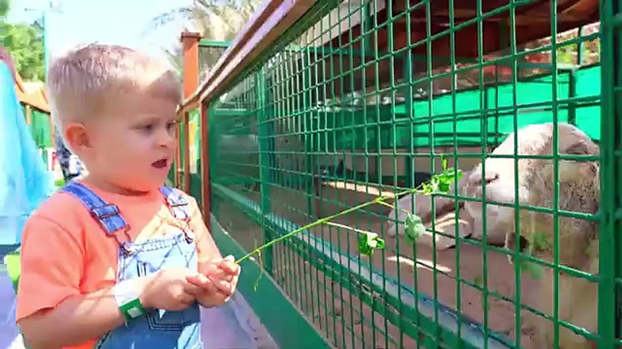 Oliver_takes_care_of_the_Animals_at_the_Pet_Hotel(360p)