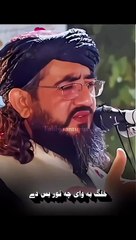 مفتی نجیب اللہ کی اشعار