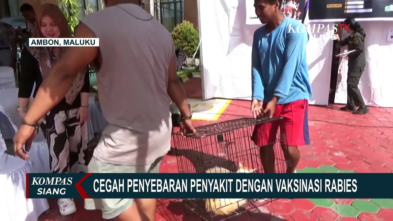 Balai Karantina di Ambon Gelar Vaksinasi Rabies Gratis untuk Hewan Peliharaan
