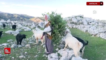 Antalya'da antik kentin 45 yıllık çobanı: Yörük Fatma