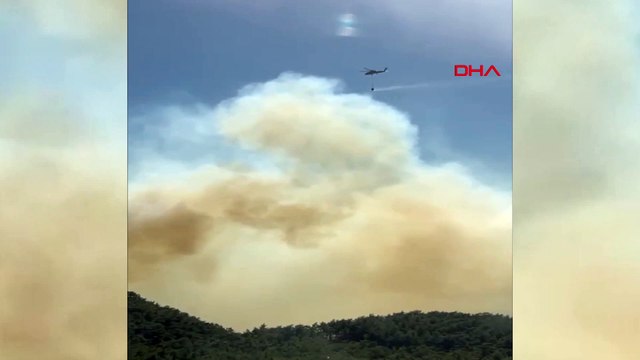 Muğla'da orman yangınları: Milas’ta alevler kontrol altında, 2 ilçede müdahale sürüyor