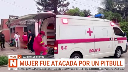 SCZ MUJER FUE ATACADA POR UN PITBULL