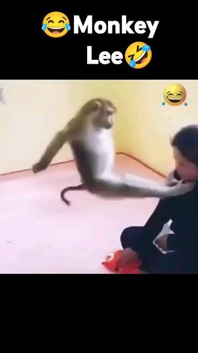 Bro is Master