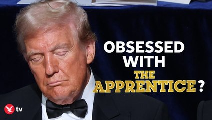 The Apprentice Star & Director Respond to Trump’s Film Criticism 🎬